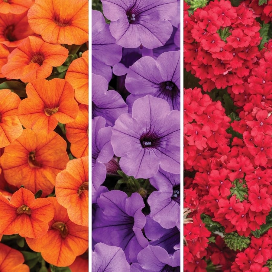 Combination Basket Zehr's on the Lake