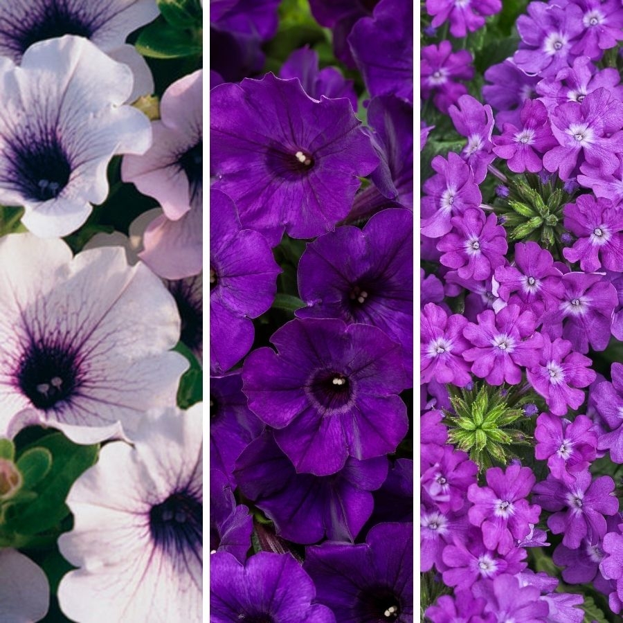 Combination Basket Zehr's on the Lake